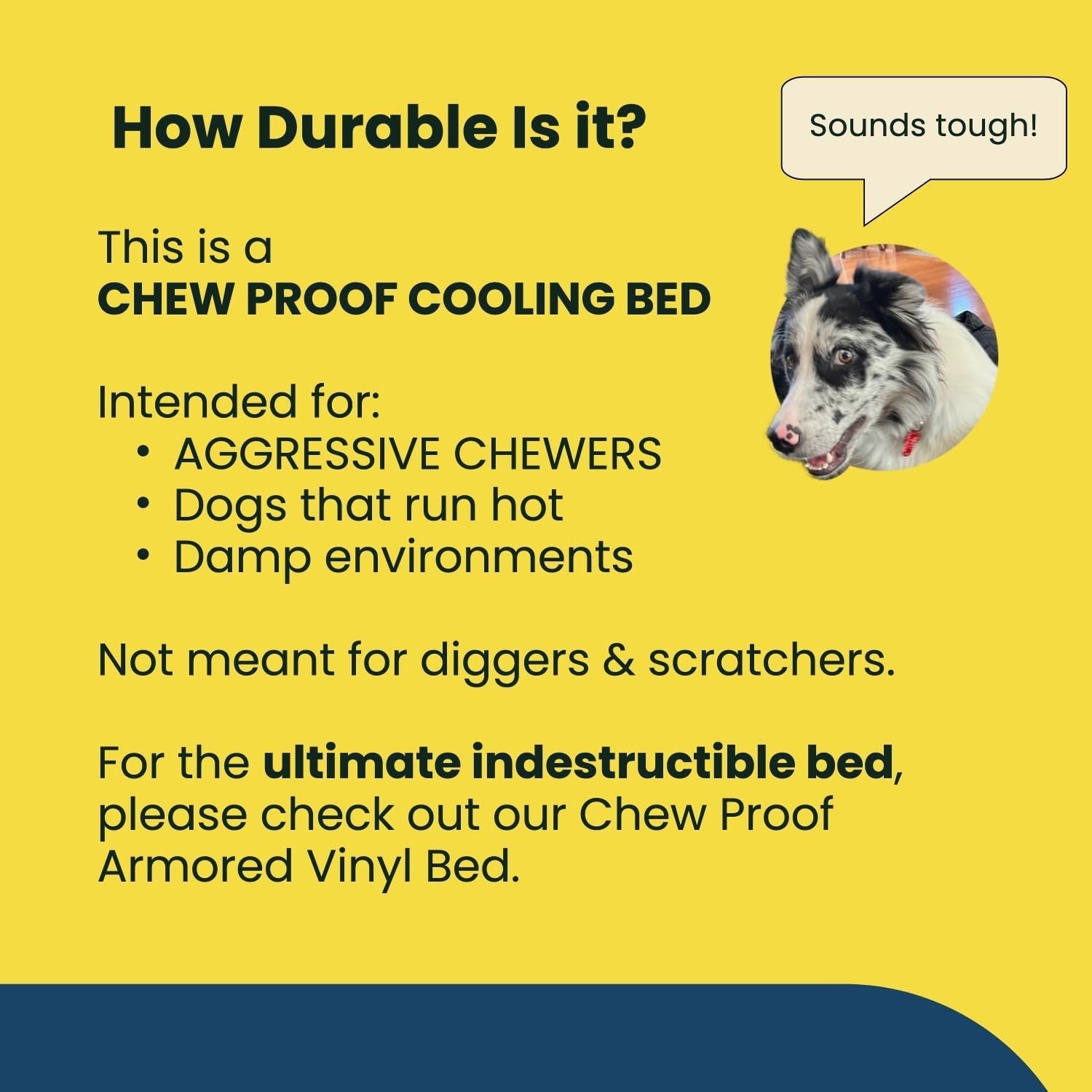 K9 Ballistics Chew Proof Elevated Outdoor Cooling Cot Bed for Large Dogs - Virtually Indestructible, Preassembled, Withstands Aggressive Chewers - L, Black Mesh