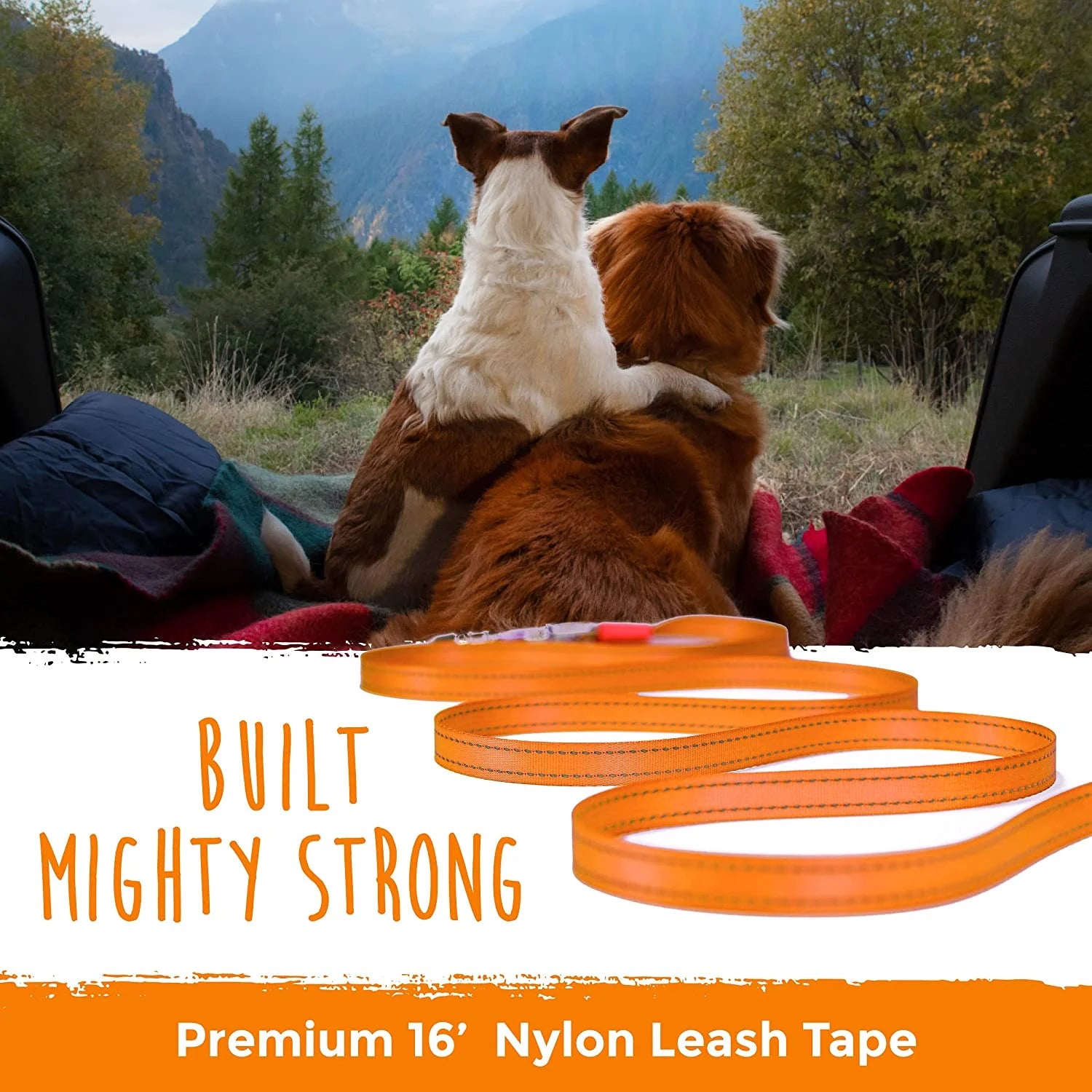 Retractable Dog Leash with 1 Touch Lock, Extra Durable Nylon Leash, No Slip Grip, Reflective Stitching, Ideal Dog Leashes for Everyday Use