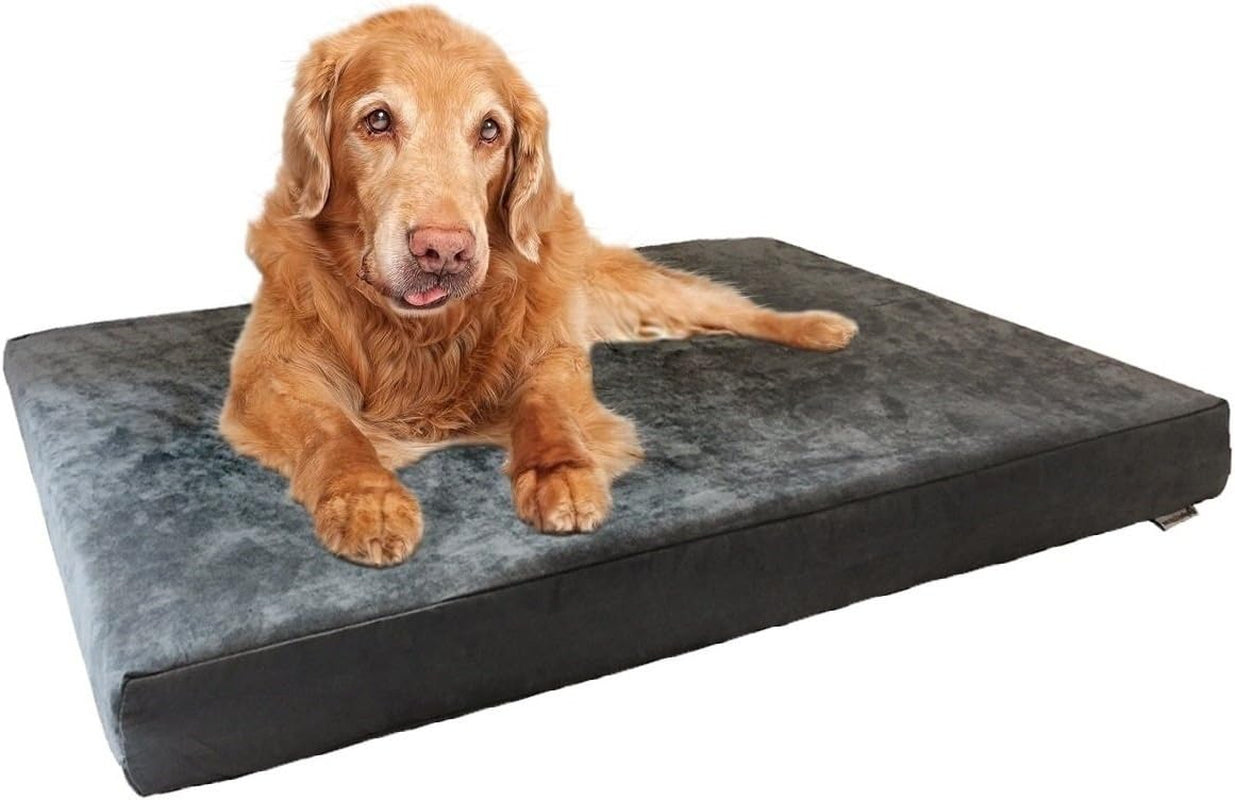 Dogbed4Less Orthopedic Dog Bed with Memory Foam for Medium Large Pet, Waterproof Liner, Washable Microsuede Gray Cover, 41X27X4 Inch (Fit 42X28 Crate)