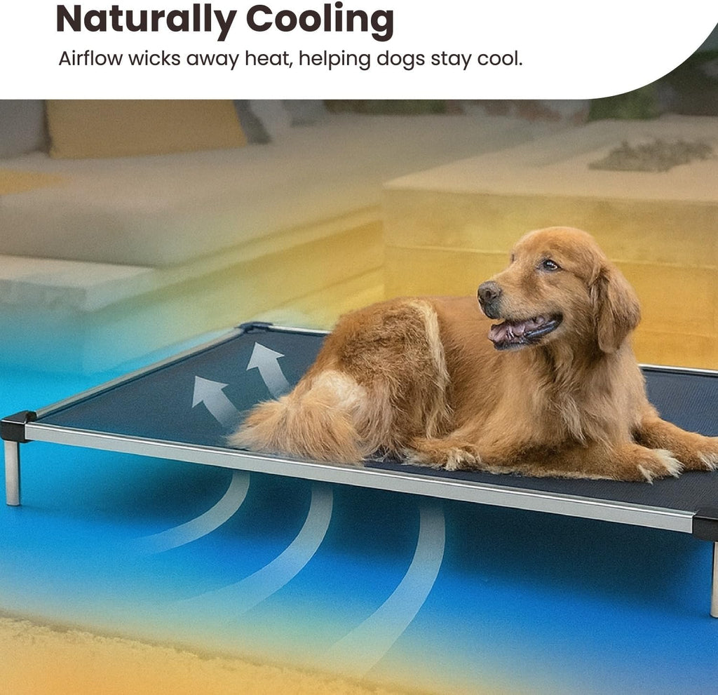 K9 Ballistics Chew Proof Elevated Cooling Outdoor Cot Bed for Small Dogs & Puppies - Virtually Indestructible, Preassembled, Withstands Aggressive Chewers - S, Black Mesh
