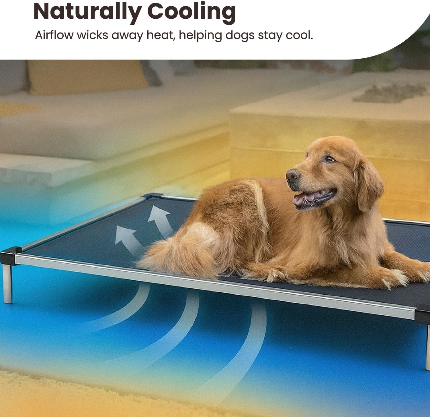 K9 Ballistics Chew Proof Elevated Cooling Outdoor Cot Bed for Small Dogs & Puppies - Virtually Indestructible, Preassembled, Withstands Aggressive Chewers - S, Black Mesh