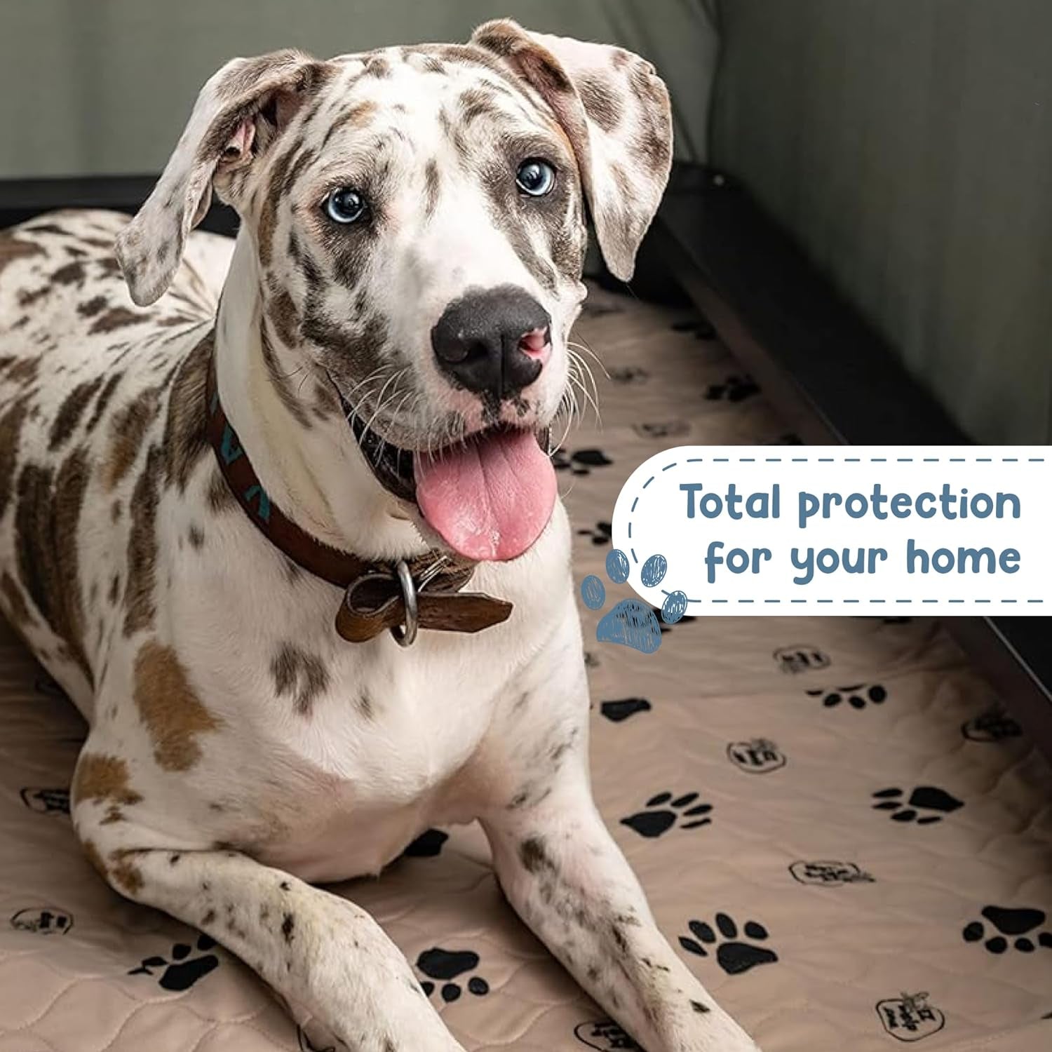 Ezwhelp Reusable Dog Pee Pads, Washable Waterproof Mats for Potty Training or Whelping Pads, Puppy Pad with Rounded Corners, 24X36 Inch, 2 Pack