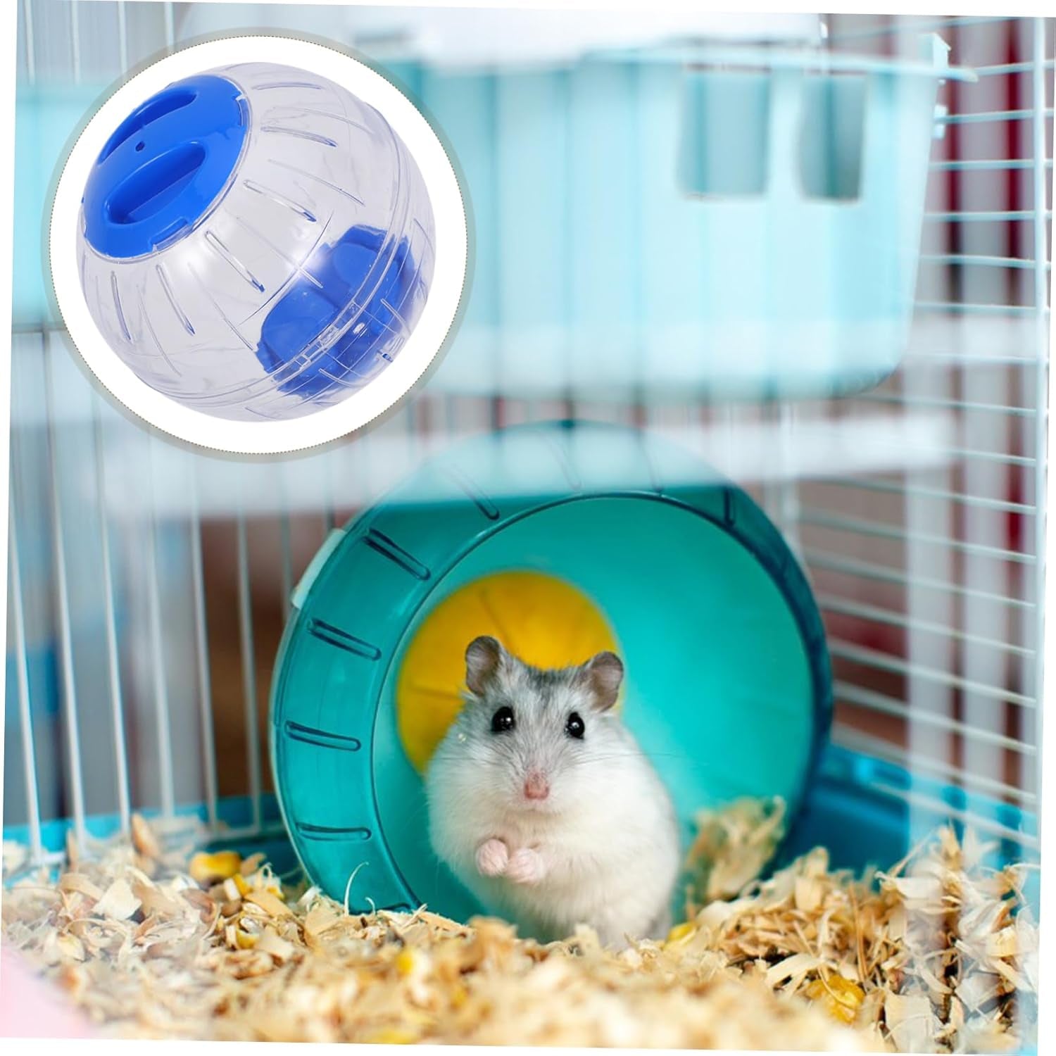 2PCS Hamster Running Ball Plastic Run Exercise Ball Small Animals Run-About Ball Accessory (Blue)